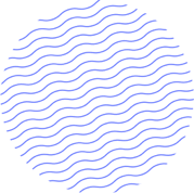 edumall shape 01 -