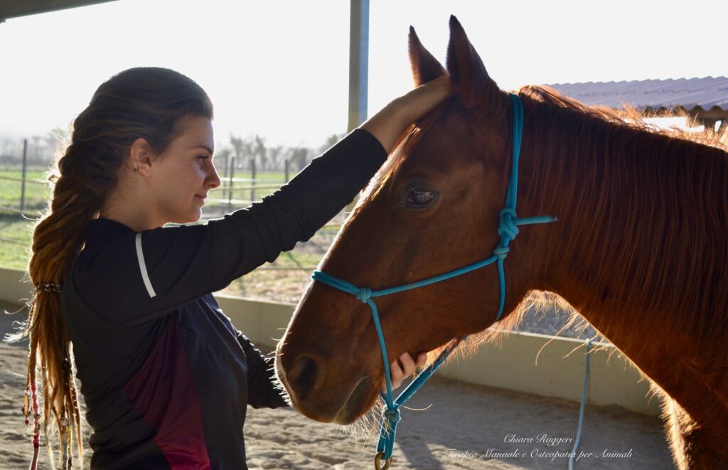 DSC 5880 -