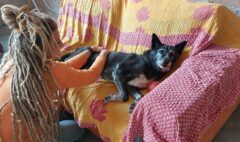 347426739_3469610009941977_6033271430107226381_n