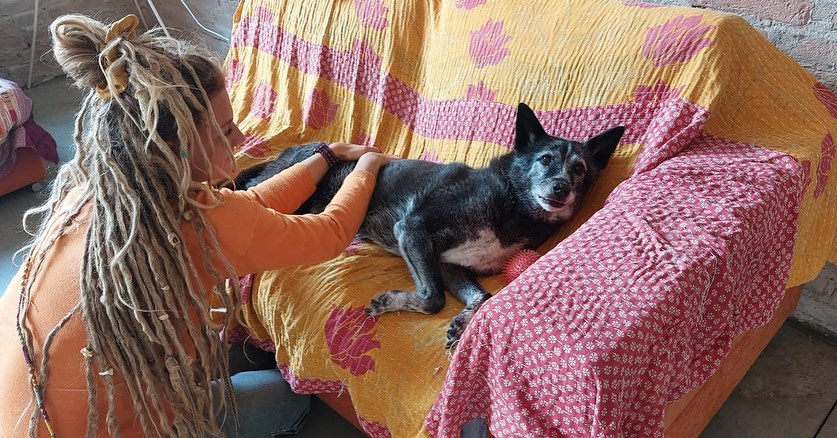 26 Agosto – Giornata Nazionale del Cane 347426739 3469610009941977 6033271430107226381 n -
