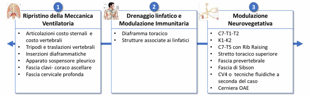 Osteopatia e polmonite: una lunga storia… image 1 -