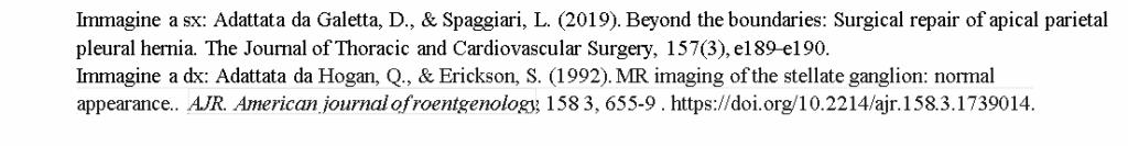 Osteopatia e polmonite: una lunga storia… image 3 -