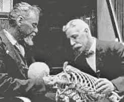 Corso ECM – Tecniche A.T. Still: l’origine dei principi guida dell’applicazione osteopatica images 1 -