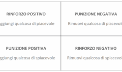 rinforzo-schema-obbiettivo-cane