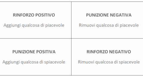 rinforzo-schema-obbiettivo-cane