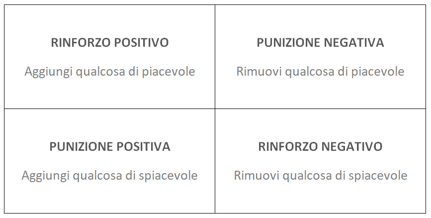 Gennaio: il mese dell’addestramento del cane (e perché ha senso parlarne)