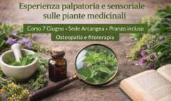 esperienza palpatoria e sensoriale sulle piante medicinali