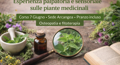 esperienza palpatoria e sensoriale sulle piante medicinali